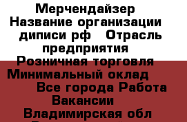 Мерчендайзер › Название организации ­ диписи.рф › Отрасль предприятия ­ Розничная торговля › Минимальный оклад ­ 25 000 - Все города Работа » Вакансии   . Владимирская обл.,Вязниковский р-н